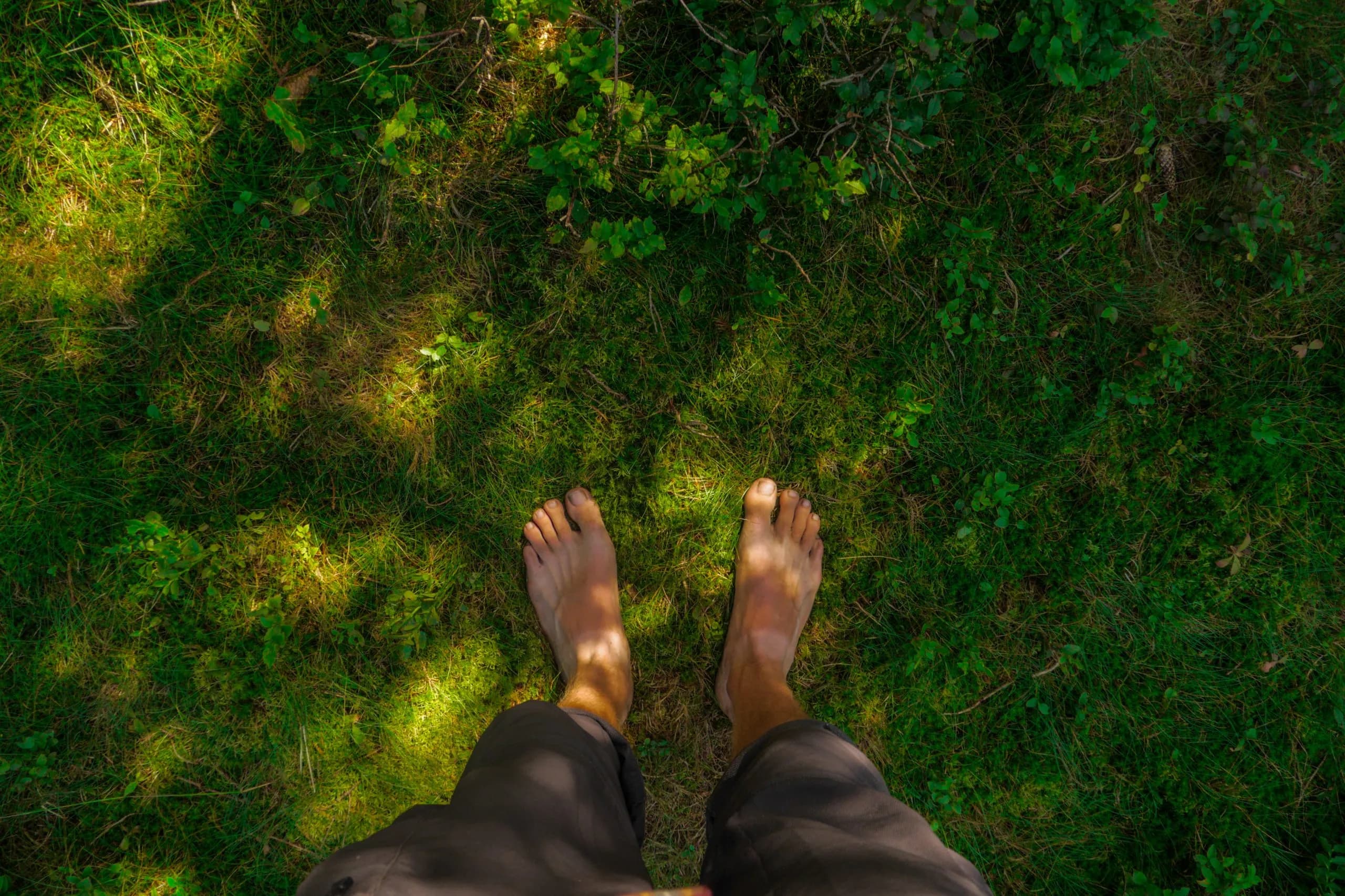 Grounding: pies en la tierra